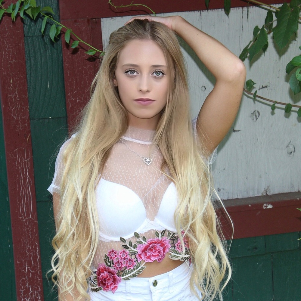 Embroidered mesh crop top - Picture 5 of 6